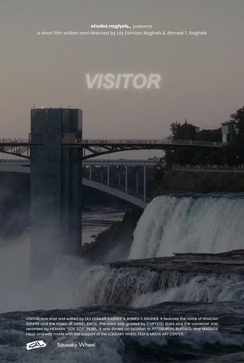 Visitor